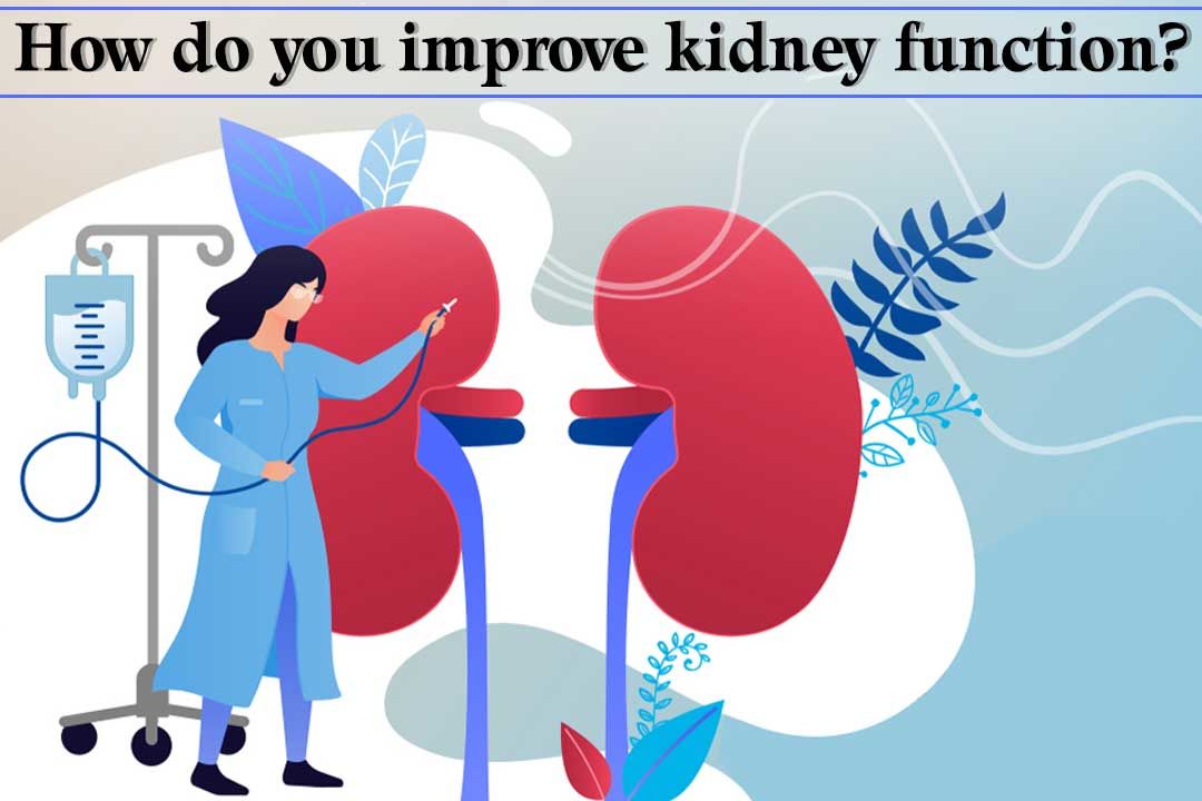 how do you improve kidney function?