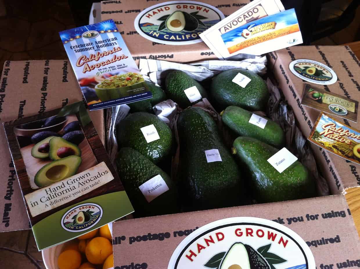 variety of organic avocado | avocado monthly