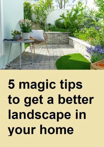 The 5 Tips on How to Create a Landscape in Your Home Garden