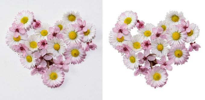 Product photo editing | Cut Out Image | Clipping Path Service | Image Masking Services