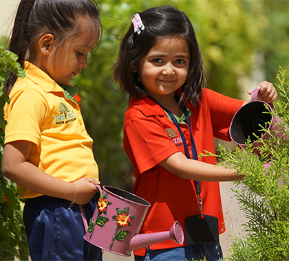 Best Montessori Schools in Bangalore | (M1, M2, M3) | Cherubs Montessori