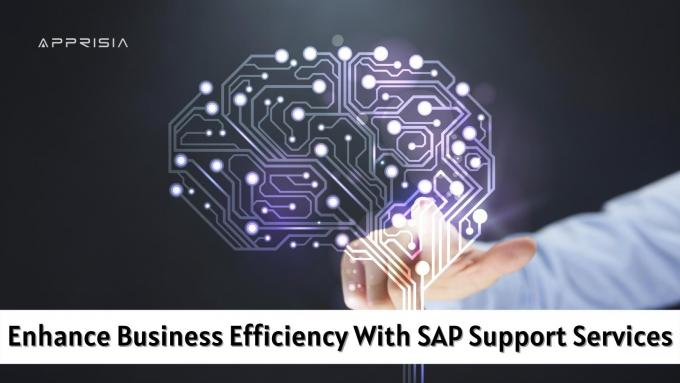 SAP Support Services | Apprisia