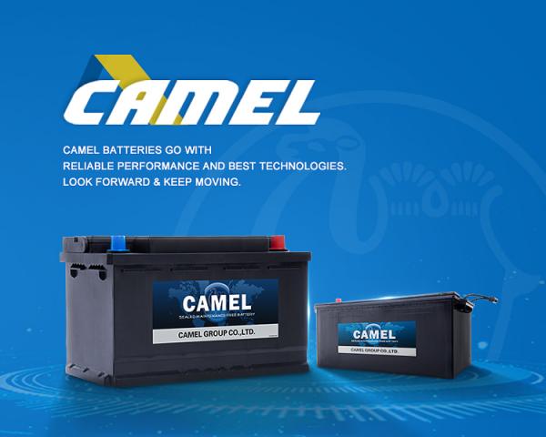 Camel Starter Battery Wholesale