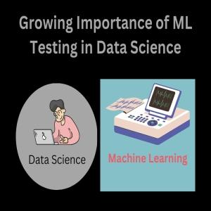 Growing Importance of ML Testing in Data Science