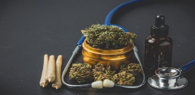 What are the difference between CBD and THC