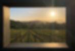 american wineries napa valley