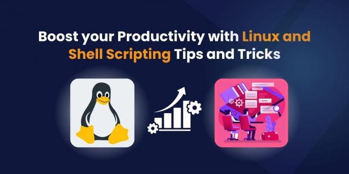 Boost your Productivity with Linux and Shell Scripting Tips and Tricks