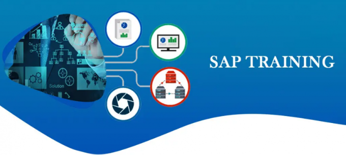 What Are The Requirements For Learning SAP?