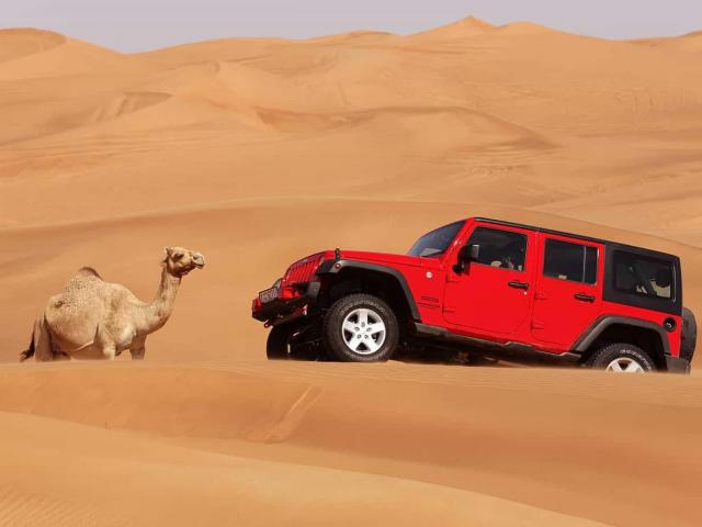 Desert Safari Tours