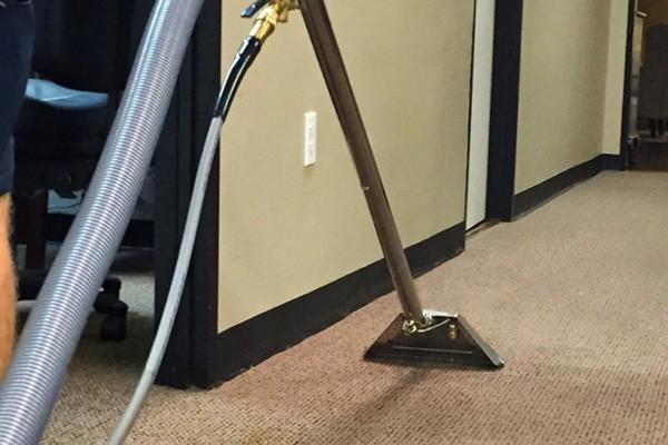 Expert Carpet Cleaner Near Your Location