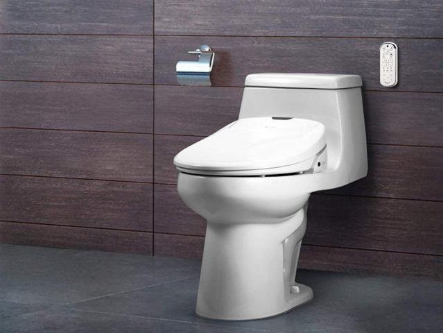 Necessities of the Bidet Toilet For Your Bathroom