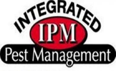 Commercial Pest Control in South Jersey