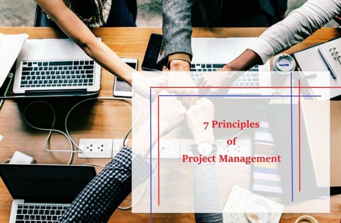 7 Principles of Project Management to achieve your goal | Eduklas