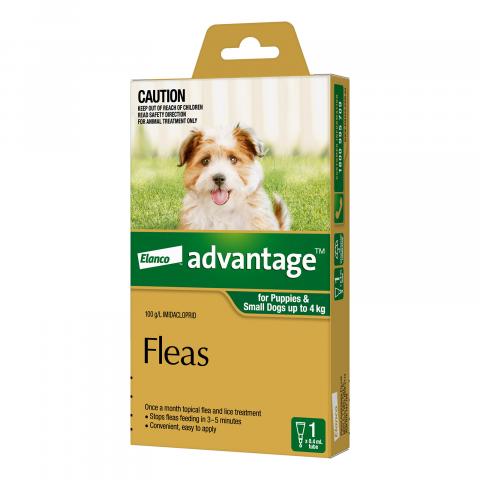  Buy Advantage For Medium Dogs 4 To 10kg (Aqua) - Free Shipping