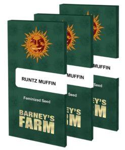 Buy Runtz Muffin Seeds Online | Cheeba Pot