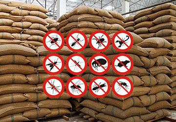  Choosing The Right Pest Control Company For Your Warehouse