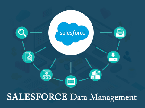 Salesforce DMP - Best CRM cloud data management platform 