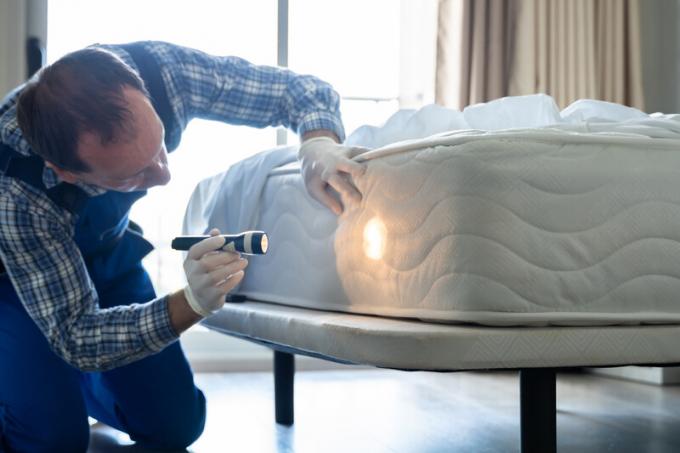 Bakersfield Bed Bug Removal | Natrix Pest Control