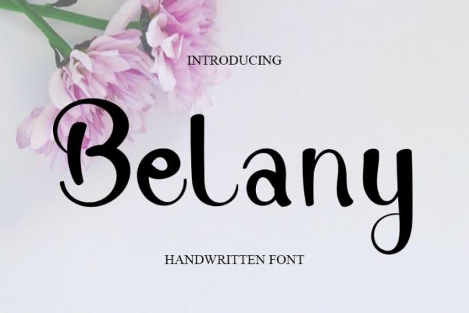 Belany Font Free Download OTF TTF | DLFreeFont