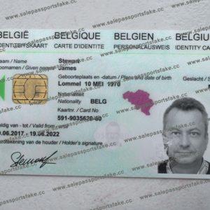 Danis passport online