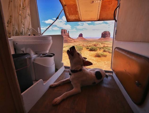 The 12 Best RV Toilets (Review) For The Money