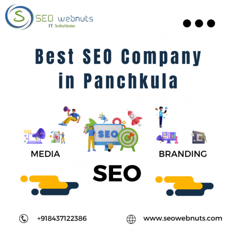 Best SEO Company in Panchkula | Website Promotion Company