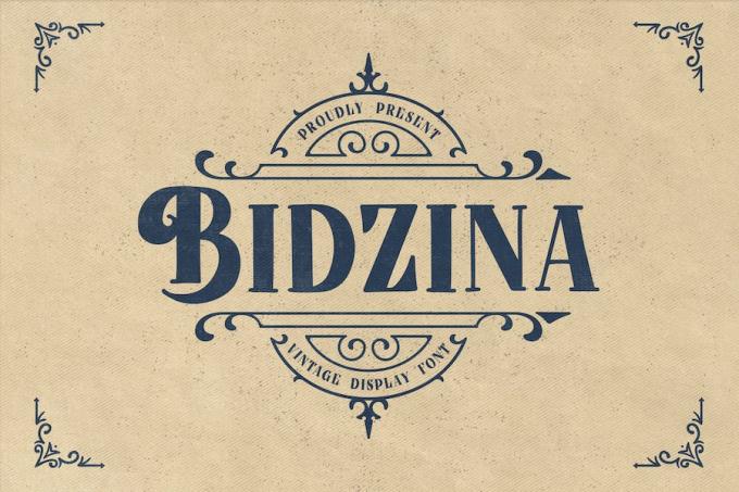 Bidzina Font Free Download Similar | FreeFontify