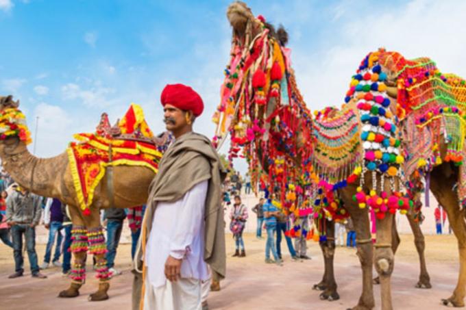  Bikaner &#8220;The desert town of &#8216;Camel Festival&#8221; Rajasthan | Travel Blogs | akshat-blogs