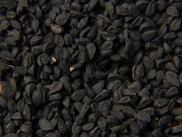 Organic Black Cumin | Black Cumin Seed Supplier | Organic Products India