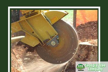 What Everyone Should Know About Stump Grinding