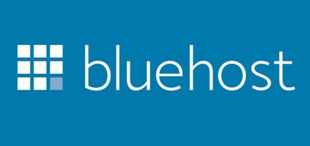 Bluehost Review &amp; Coupon : Excellent Uptime and Speed