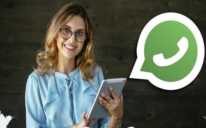 Bulk Whatsapp Marketing Software | Whatsapp Marketing Messenger Software
