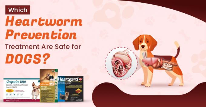 Which Heartworm Prevention Treatments Are Safe for Dogs? - BudgetVetCare Blog