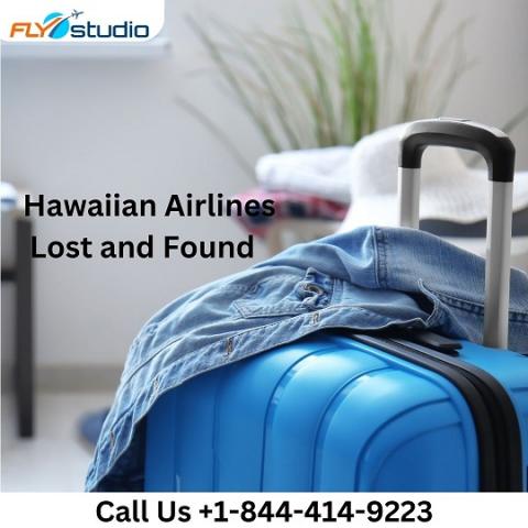 Hawaiian airlines store lost baggage