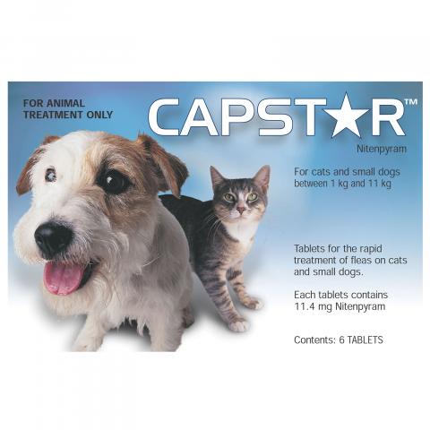 Capstar for Cats | Capstar Flea Tablets For Cats Online 