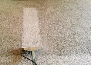 Carpet Cleaning London