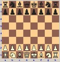 Chess Setup and Rules for Kids