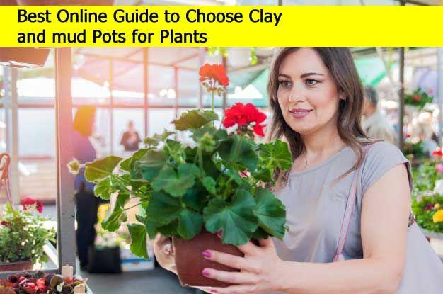 Clay Pots for Plants Online 