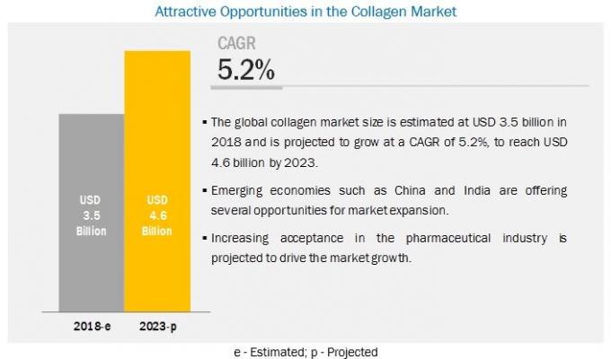 Collagen Market by Product Type, Application, Region - 2023 | MarketsandMarkets