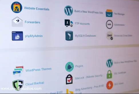 5 Reasons Why a Custom WordPress Plugin Is Better for Your Business