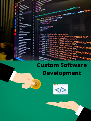 custom software development