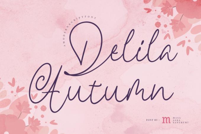 Delila Autumn Font Free Download OTF TTF | DLFreeFont