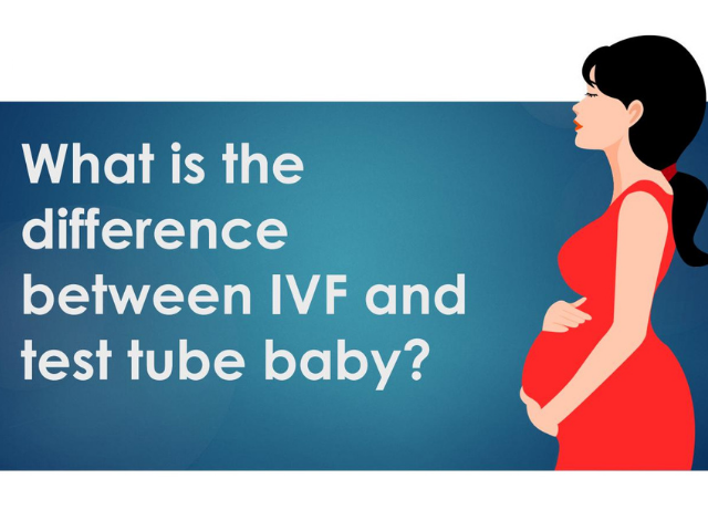 What is the Difference Between IVF and Test Tube Baby? | Diary Store
