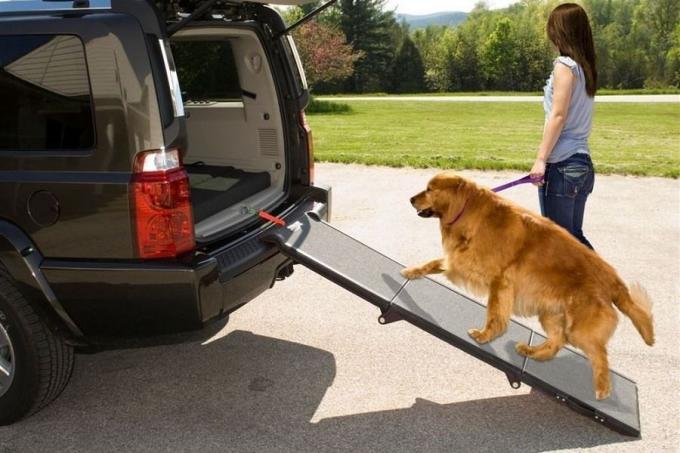 Pet Gear Tri-Fold Portable Ramp Review | PetsOnJourney.com