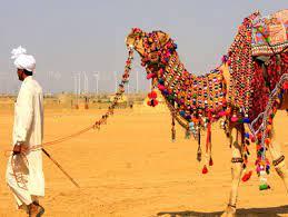 Luxury Desert Camp in Sam Sand Dunes | Luxury Desert Camp Tents in Jaisalmer