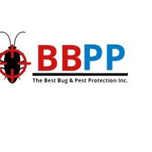 6 Hornet Facts You Should Known if You Have a Wasp Infestation in the Making — BBPP PEST CONTROL - Buymeacoffee