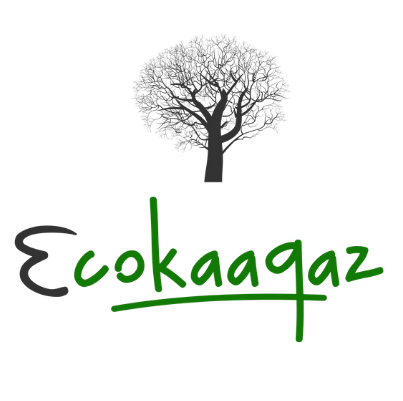 Ecofriendly &amp; Simple Paper Bags | Ecokaagz