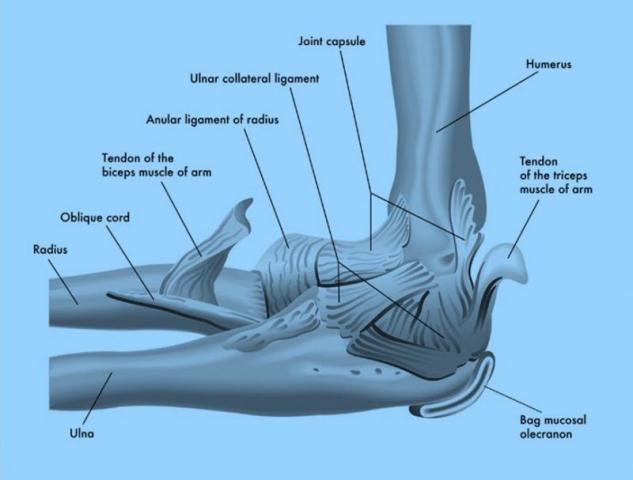 Overview of Elbow Fracture