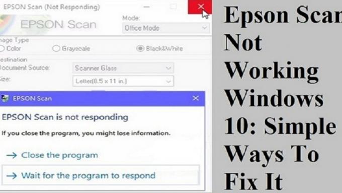 Resolved: Epson Scanner Not Working in Windows 10