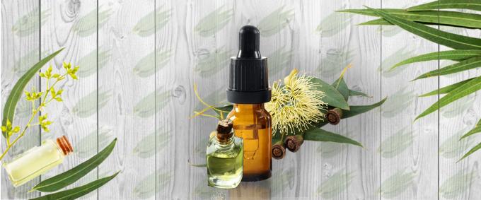 Eucalyptus Oil